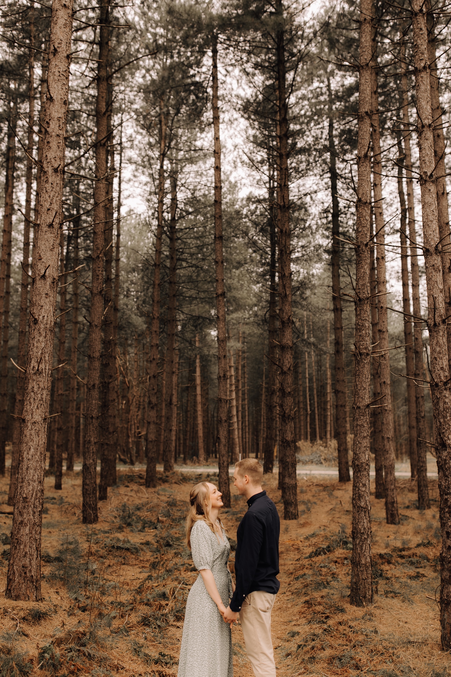 gezinsfotograaf limburg - koppel staat tussen de dennenbomen in Lommel