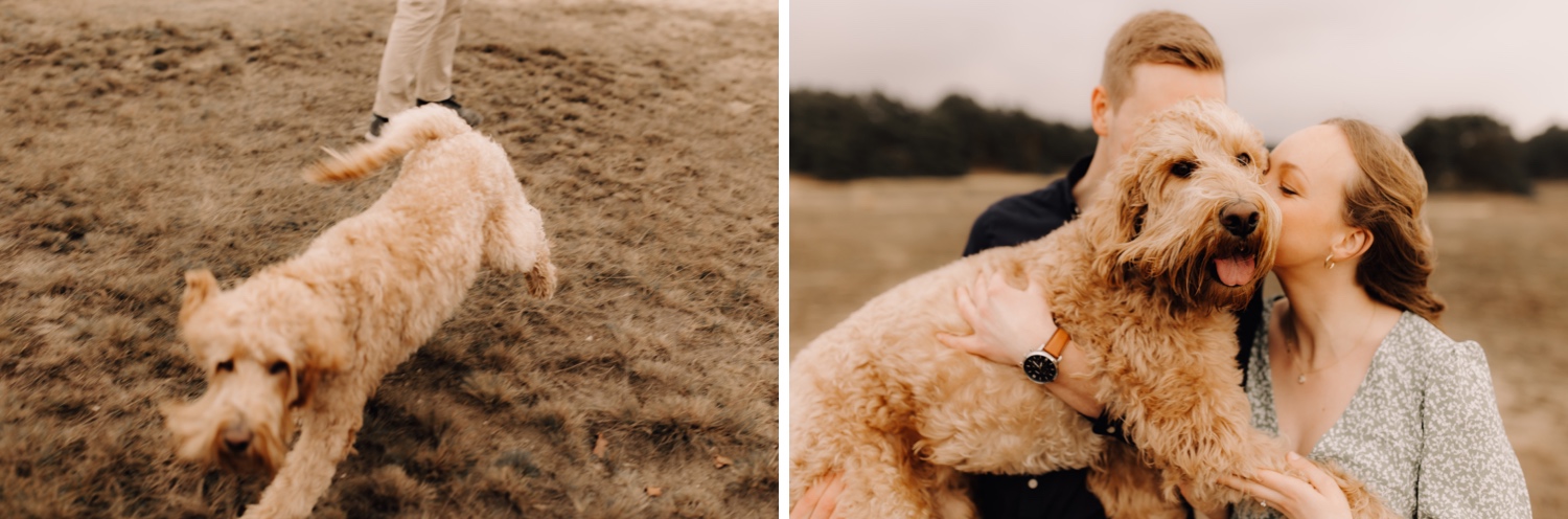 gezinsfotograaf limburg - Rufus de labradoodle zorgt voor extra sfeer tijdens de fotoshoot