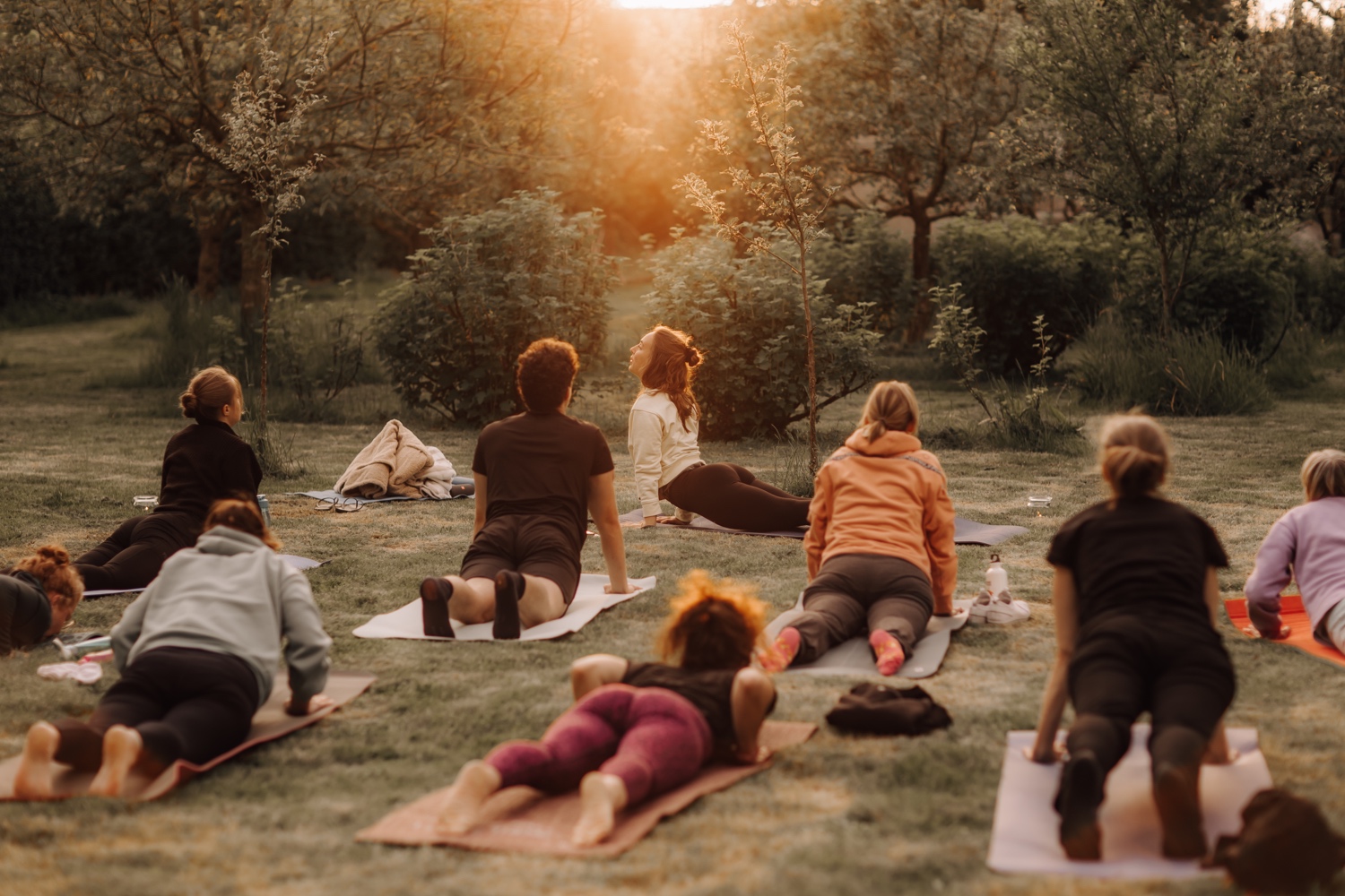 Studio medisana - yogales in de natuur bij zonsondergang