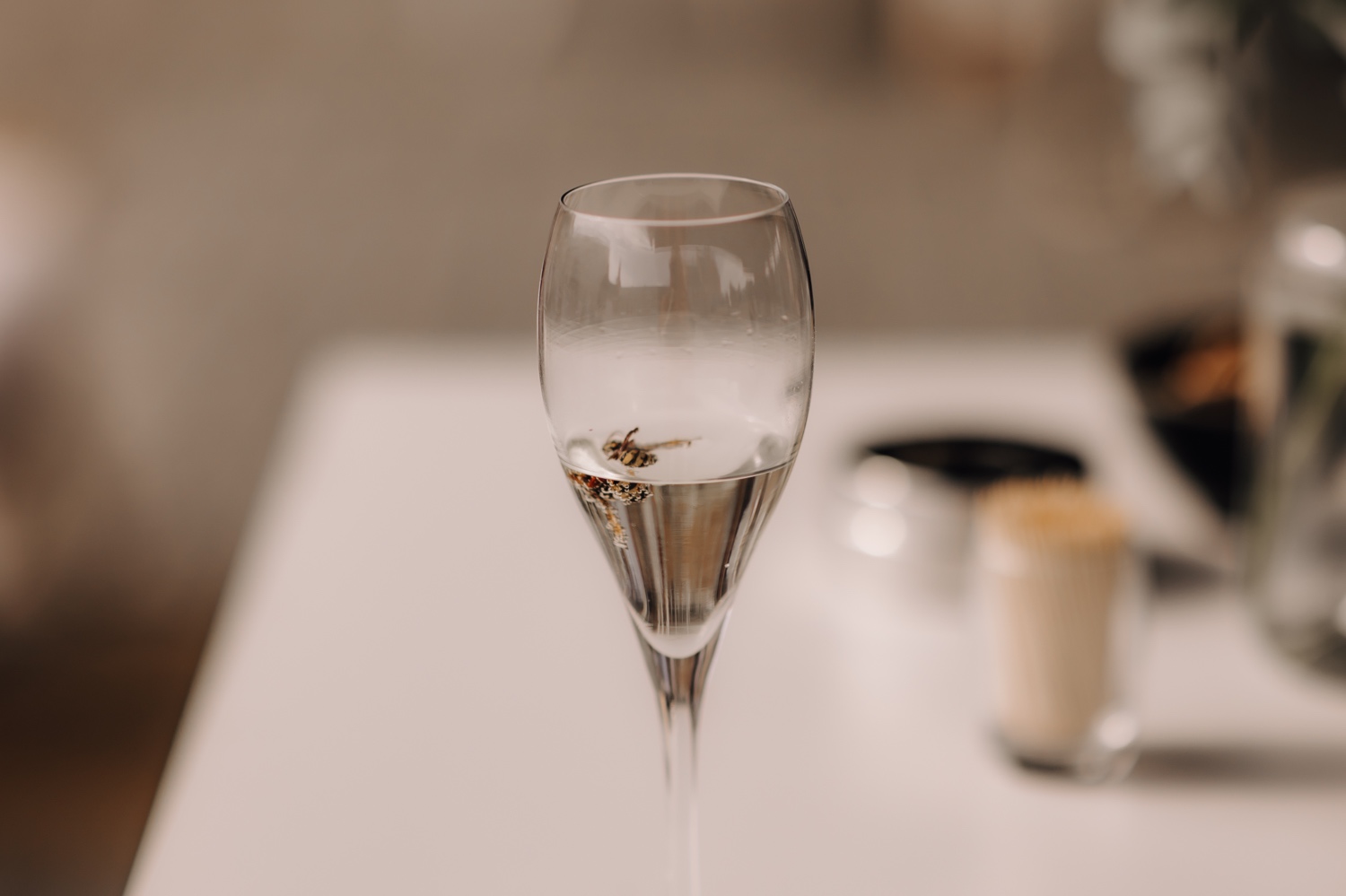 wesp ligt in champagneglas te drijven tijdens bloedheet zomerhuwelijk
