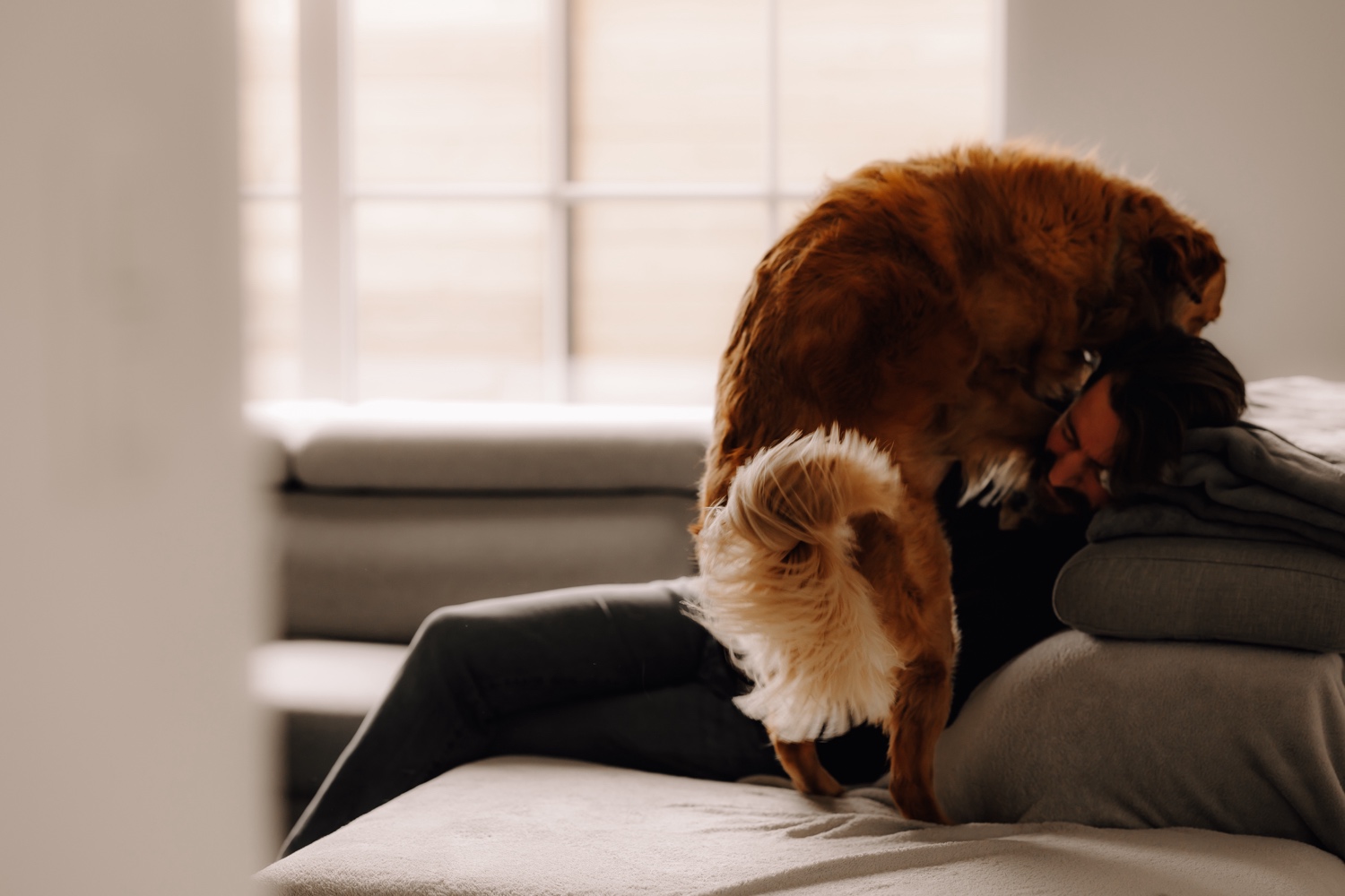 Gezinsfotograaf Limburg - baasje en hond spelen met elkaar in de zetel