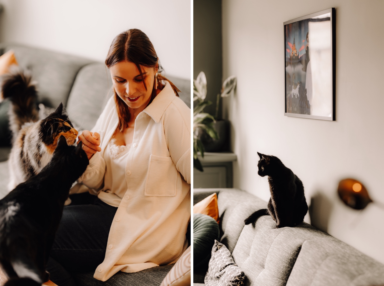 Gezinsfotograaf Limburg - huisdier fotosessies van een gezin met katten