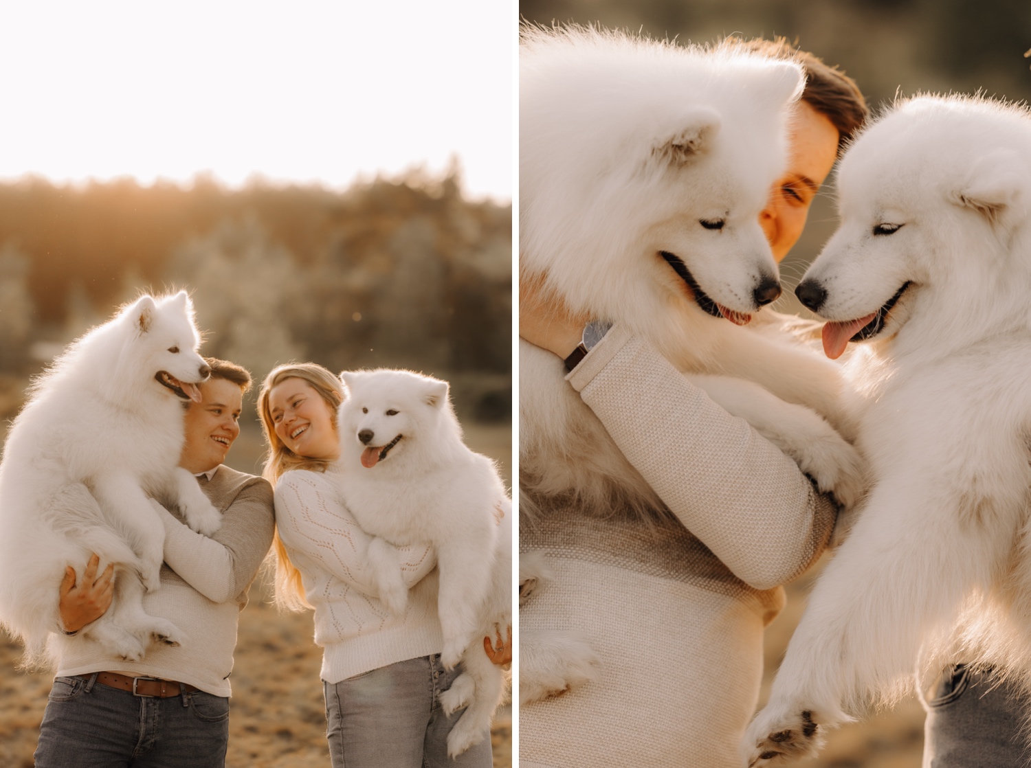 Huwelijksfotograaf Limburg - koppel poseert met hun honden in de Lommelse Sahara