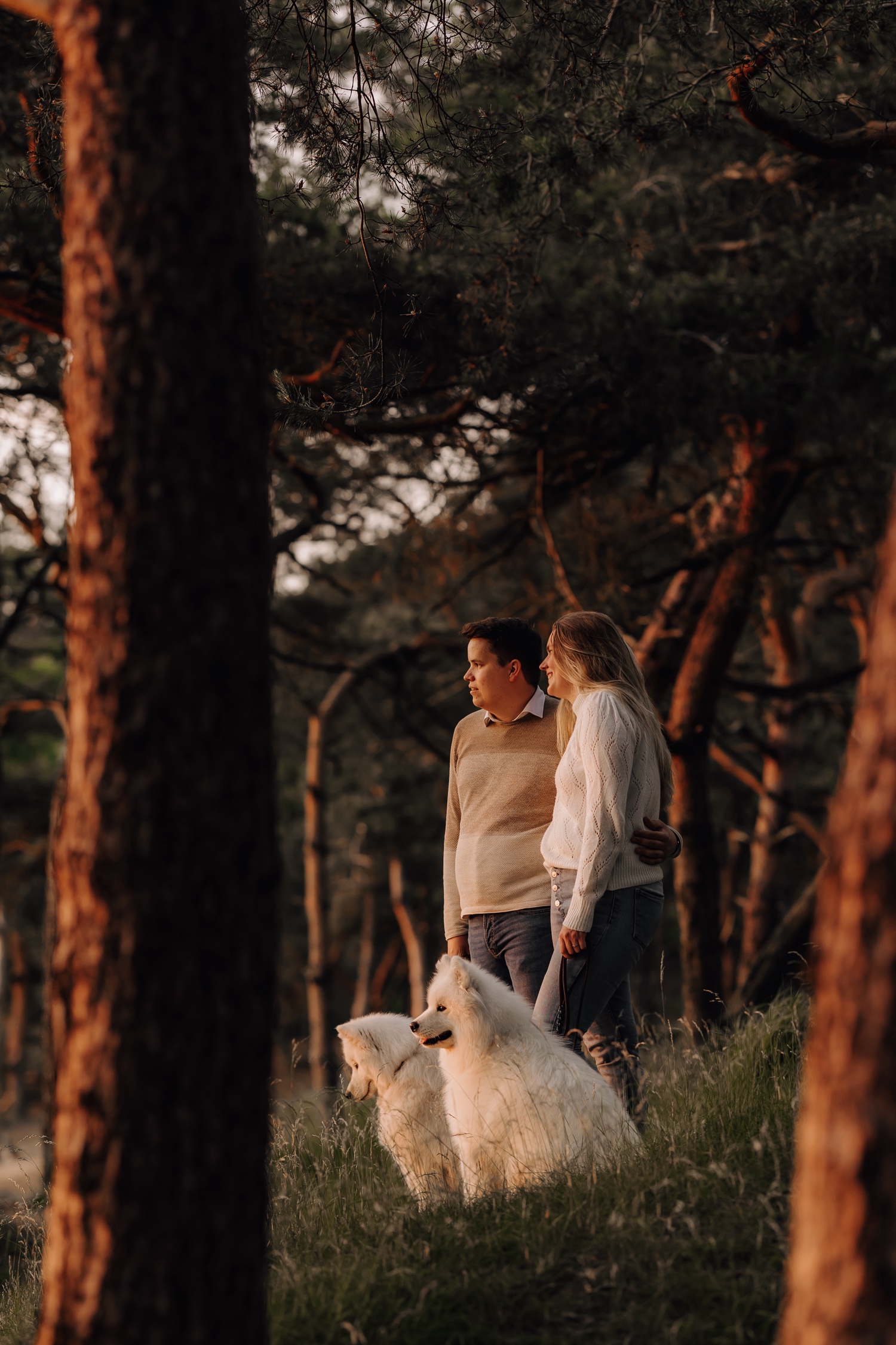 Huwelijksfotograaf Limburg - koppel kijkt naar de zon die ondergaat met hun hondjes