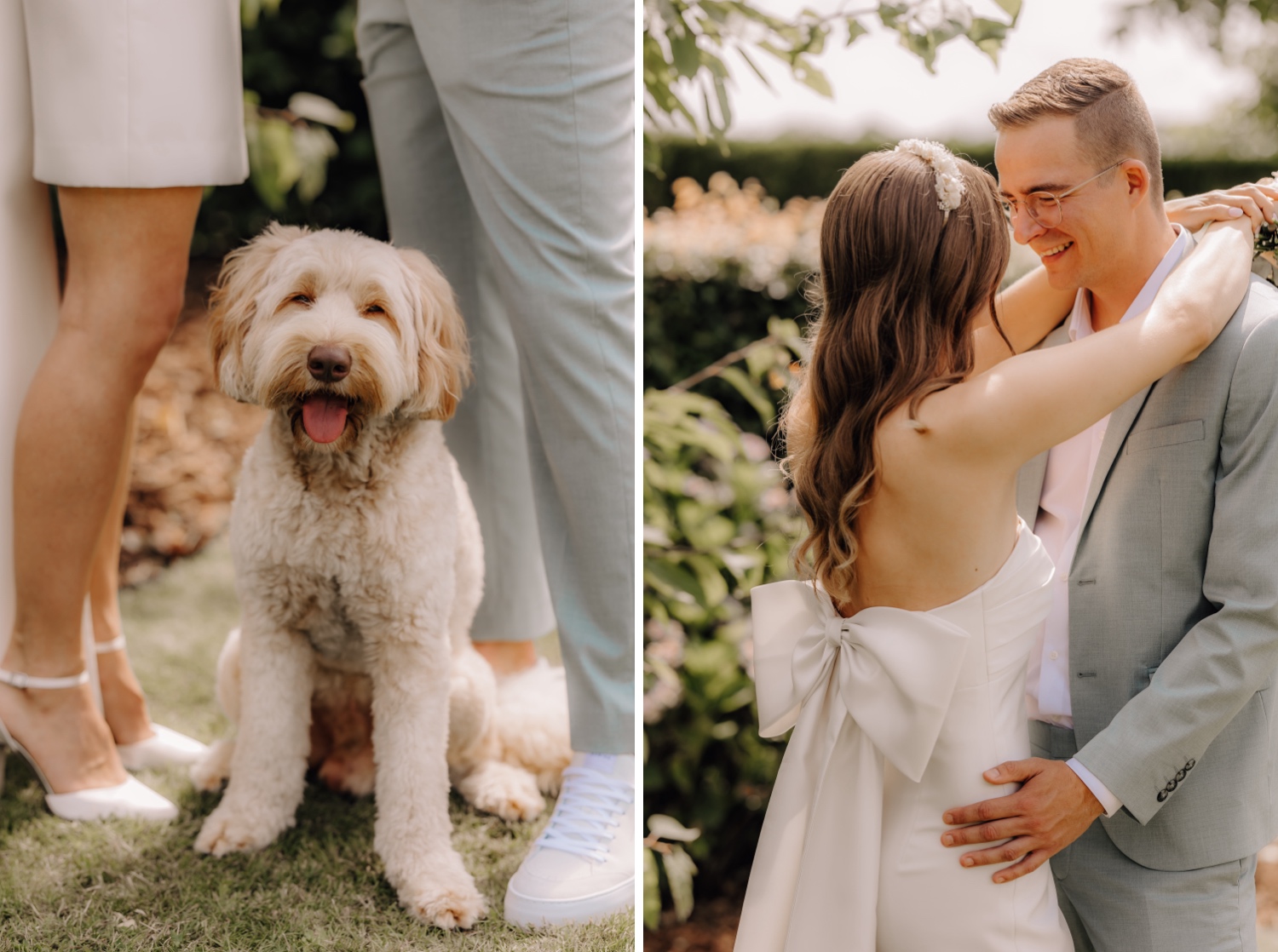 Burgerlijke trouw in het Stadhuis van Maasmechelen - golden doodle Lio poseert tussen het bruidspaar