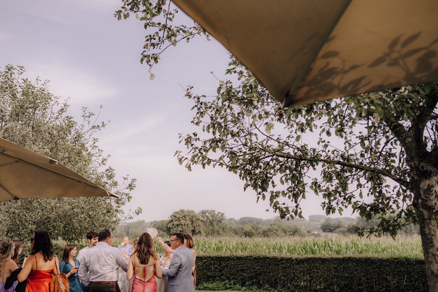 Zomers huwelijk op unieke landelijke locatie in Horebeke - sfeerfoto van de huwelijksreceptie