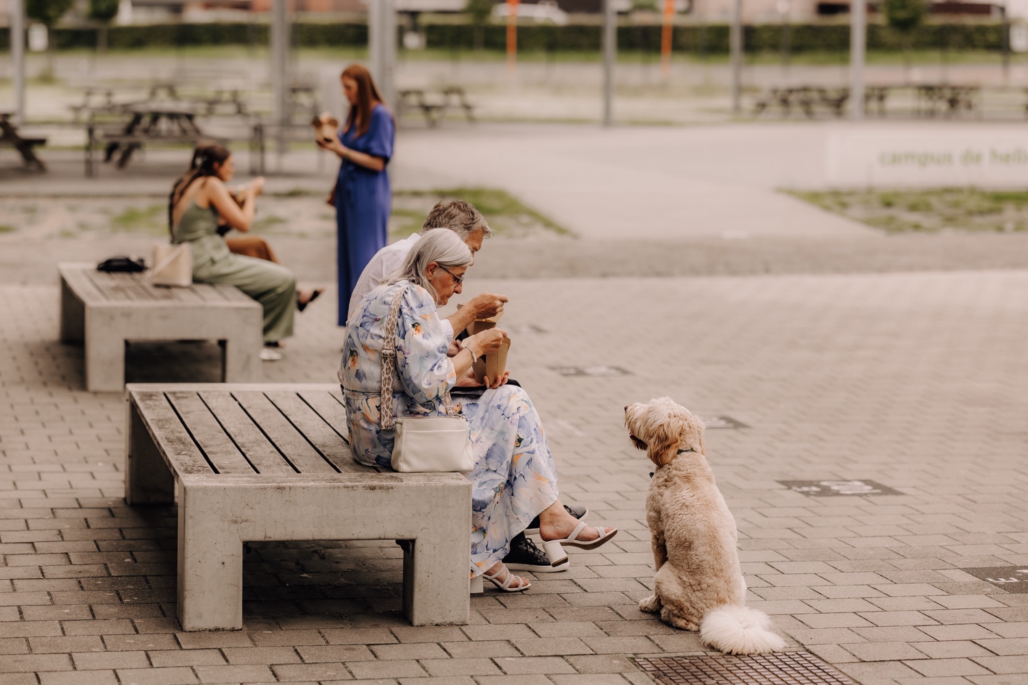 Intiem huwelijk bij La Butte Aux Bois - Lio de golden doodle kijkt toe hoe de gasten pasta eten