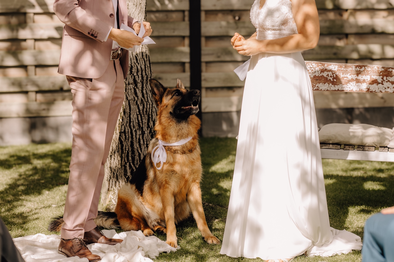 Een intiem huwelijk met twee honden en modderige laarzen - Hond zit tussen bruid en bruidegom terwijl ze hun geloften uitwisselen