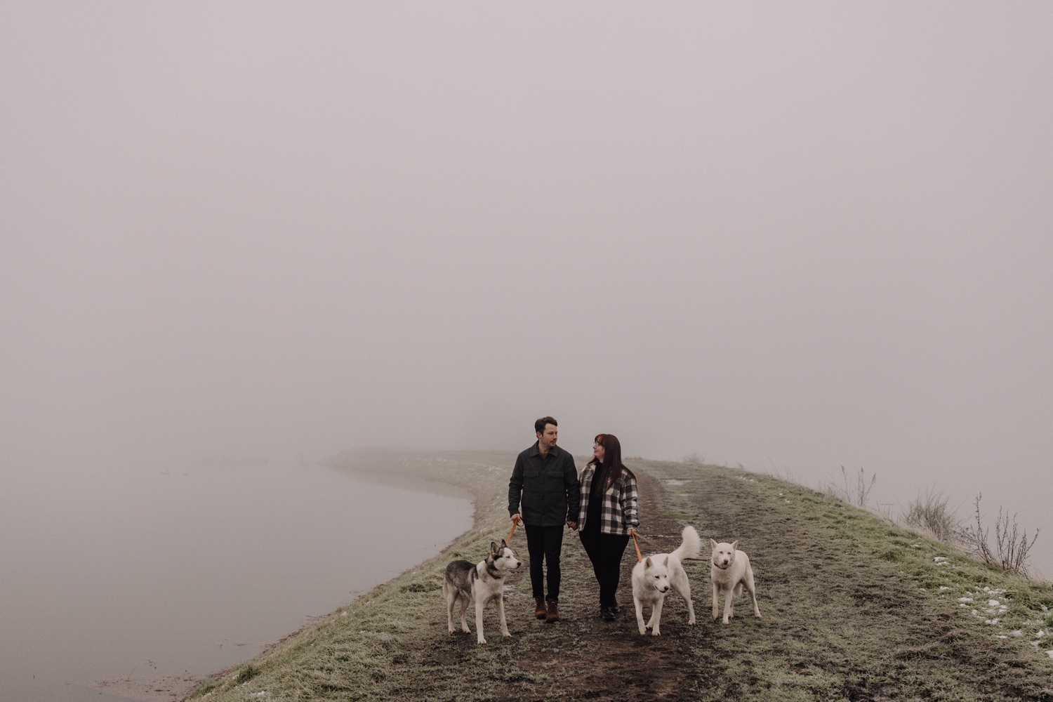 Gezinsfotograaf Limburg - mistige fotoshoot met drie Huskies