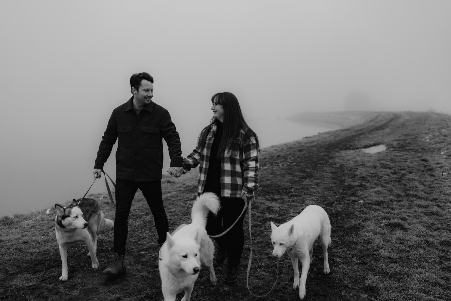 Gezinsfotograaf Limburg - mistige fotoshoot met drie Huskies