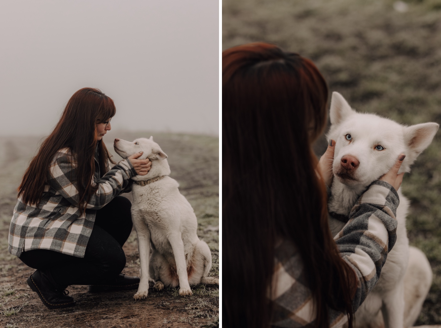 Gezinsfotograaf Limburg - mistige fotoshoot met drie Huskies