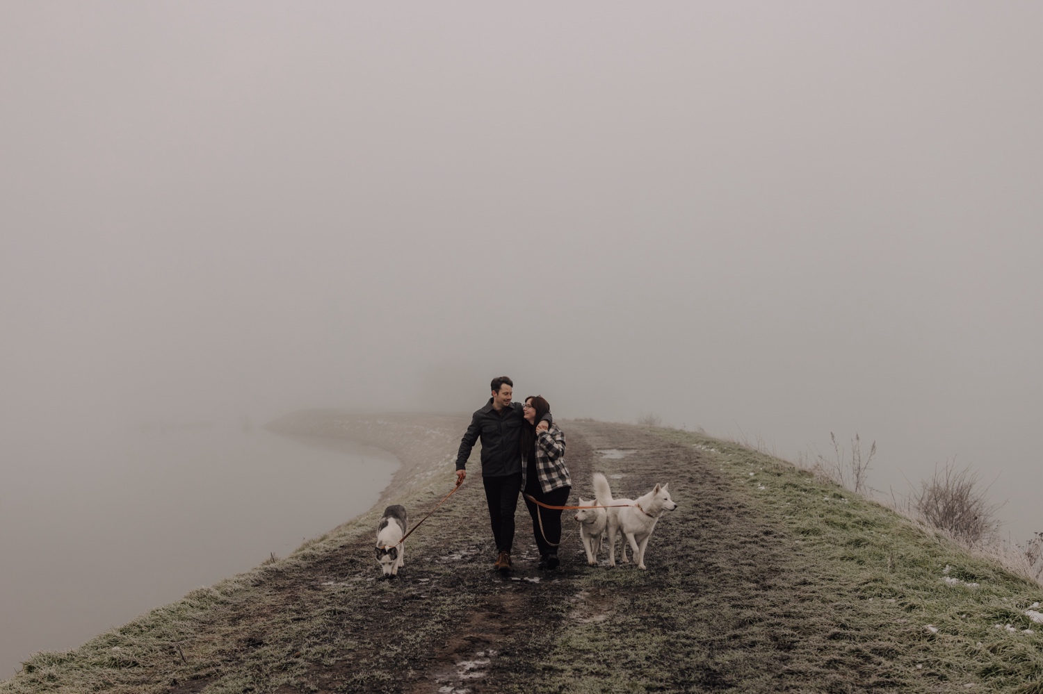 Gezinsfotograaf Limburg - mistige fotoshoot met drie Huskies