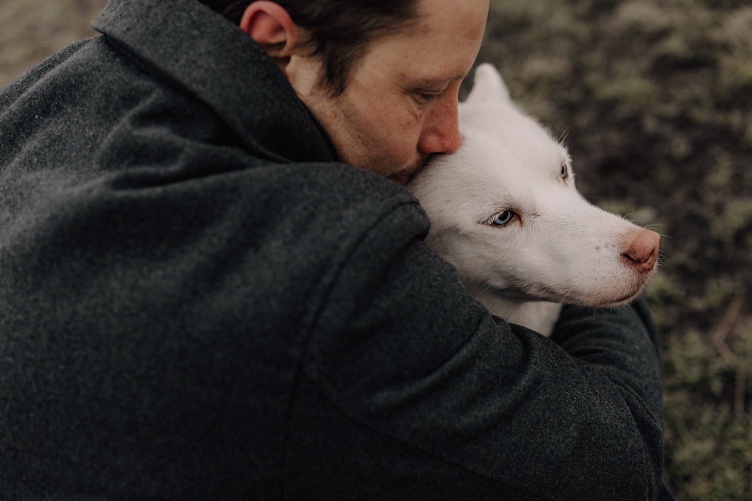 Gezinsfotograaf Limburg - mistige fotoshoot met drie Huskies