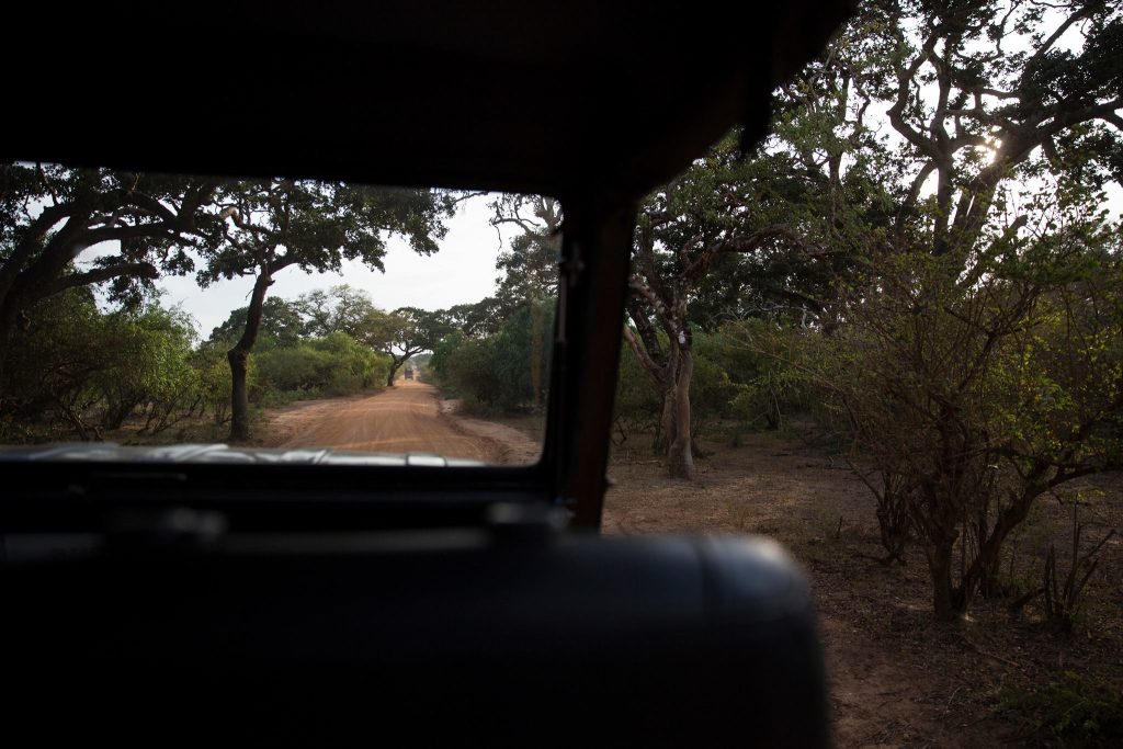 Safari in Sri Lanka